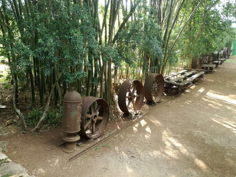 From Merida: Uxmal, Hacienda Yaxcopoil and Cenote with Lunch - Detailed Breakdown of the Itinerary