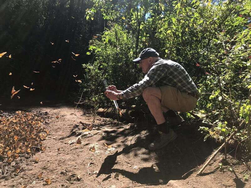 From Mexico City: 7-Day Monarch Butterfly Tour - Analyzing the Itinerary: What You Can Expect