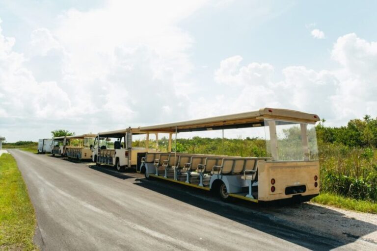 From Miami: Everglades Airboat Ride and Nature Walk - The Scenic Drive & Park Introduction