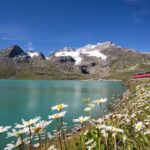 From Milan: St. Moritz and Panoramic Bernina Express Tour - The Value of the Tour