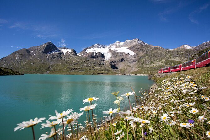 From Milan: St. Moritz and Panoramic Bernina Express Tour - The Value of the Tour