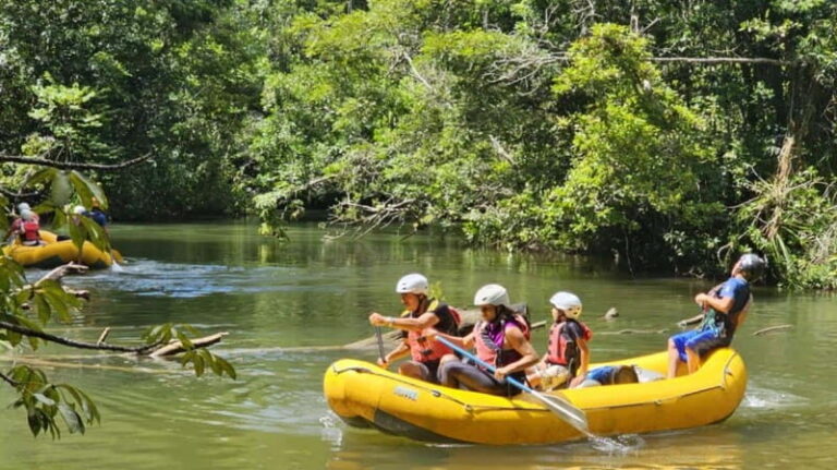 From Ocosingo: Lacandona Jungle Private Rafting Experience - Why This Tour Offers Great Value