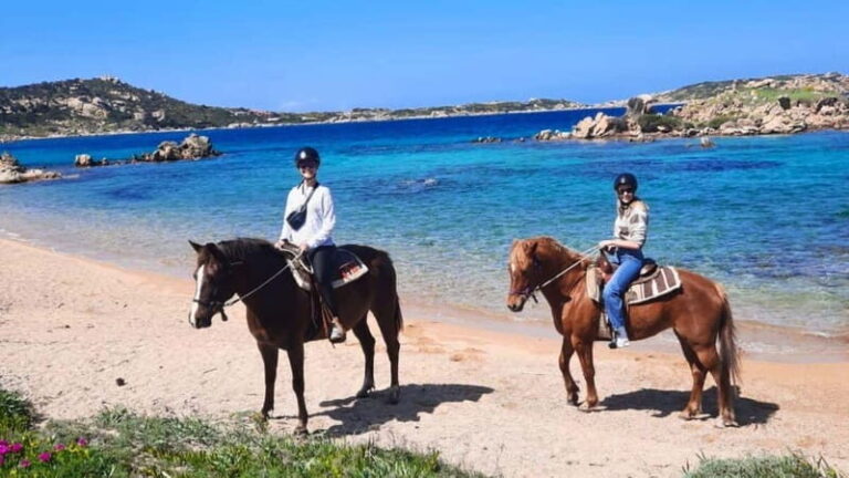 From Palau: minibus tour and horseback ride in La Maddalena - An In-Depth Look at the La Maddalena Tour