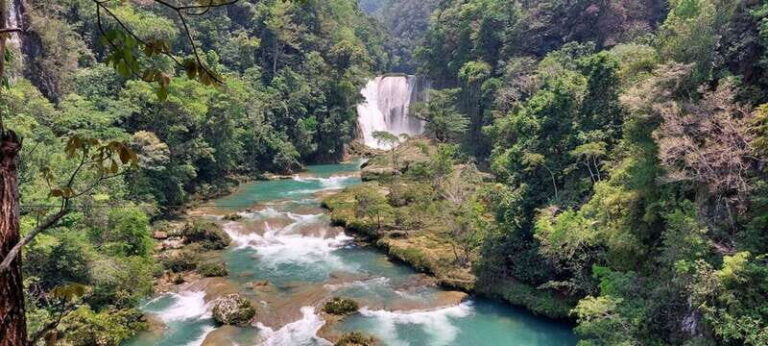 From Palenque: Roberto Barrios and El Salto Waterfalls Tour - Deep Dive into the Experience