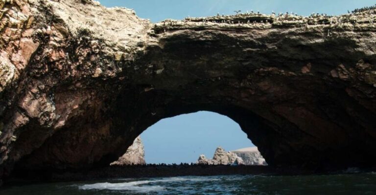 From Paracas: Ballestas Islands tour all Inclusive - The Experience in Detail