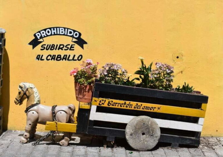 From Puebla: Atlixco & Atlimeyaya Private Tour all included - Tasting the Flavors of Puebla