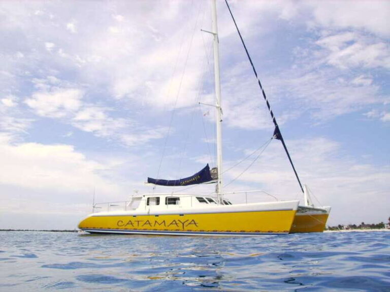 From Puerto Aventuras: Share Catamaran Tour - The Lunch: A Gourmet BBQ at Sea