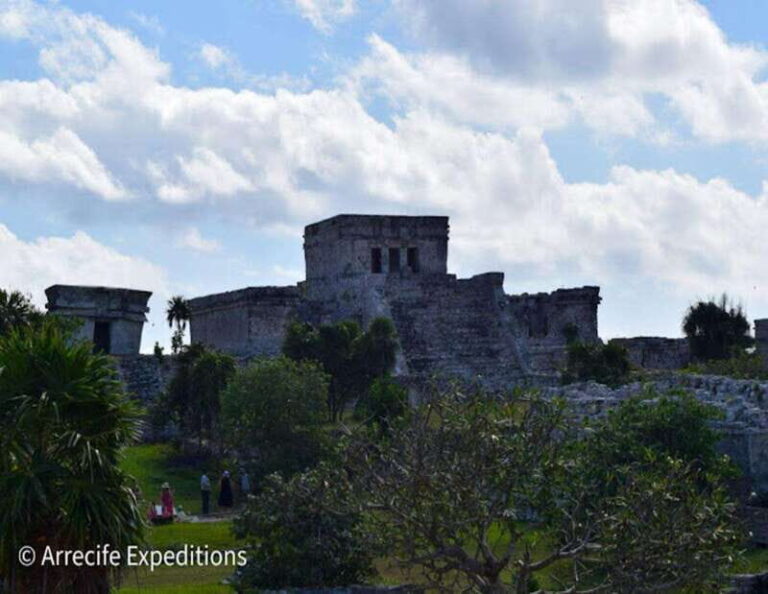 From Puerto Morelos: Coba Expedition - Why Small Groups Matter