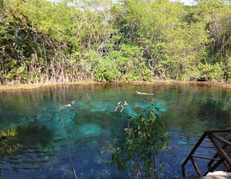 From Puerto Morelos: Lagoon k'an luum - The Practical Side: Booking, Duration, and Cost