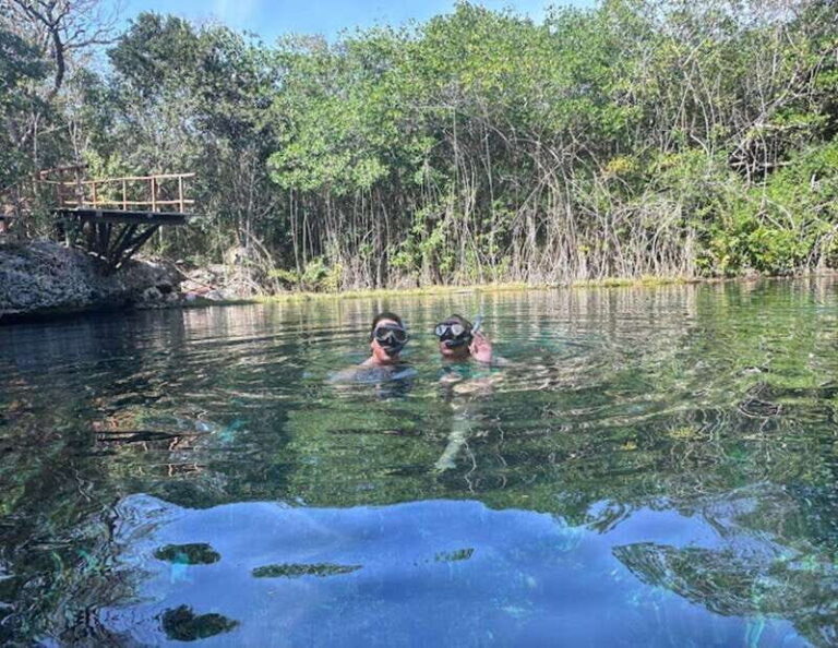 From Puerto Morelos: Tulum Cenote - The Itinerary in Detail
