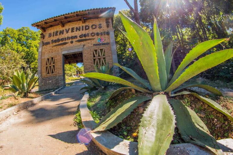From Puerto Vallarta: San Sebastian del Oeste Guided Tour - Exploring the Itinerary: What You Can Expect