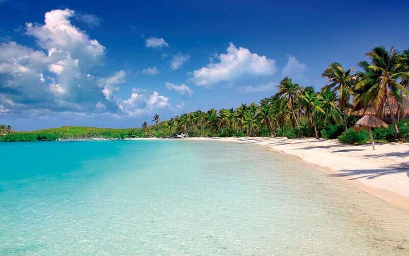 From Riviera Maya: Day Tour to Contoy and Isla Mujeres - Snorkeling at the Second-Largest Barrier Reef