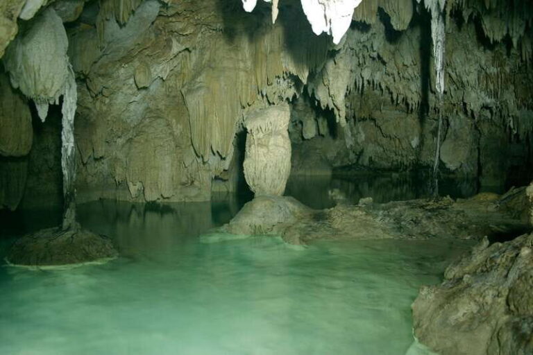 From Riviera Maya: Snorkeling & Private Cenote Half-Day Tour - Snorkeling in the Caribbean Reef