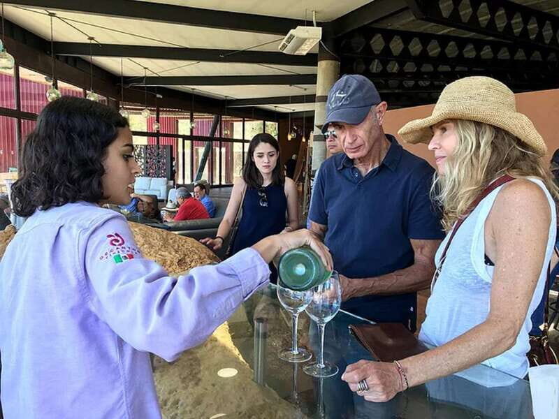 From San Diego: Valle de Guadalupe Private Wine Tasting Tour - What Sets This Tour Apart?