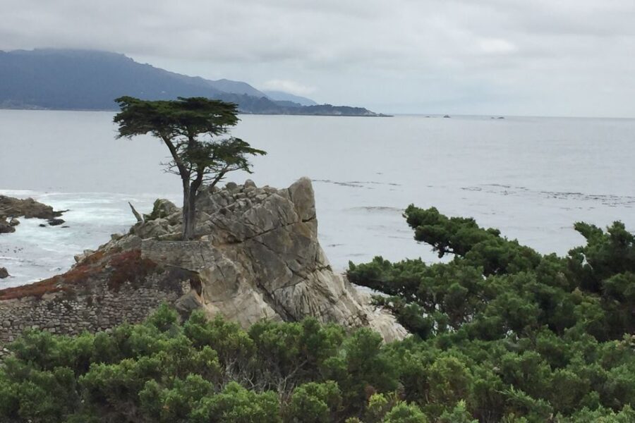 From San Francisco: Carmel, Monterey & Big Sur Private Tour - The Itinerary Breakdown: What to Expect