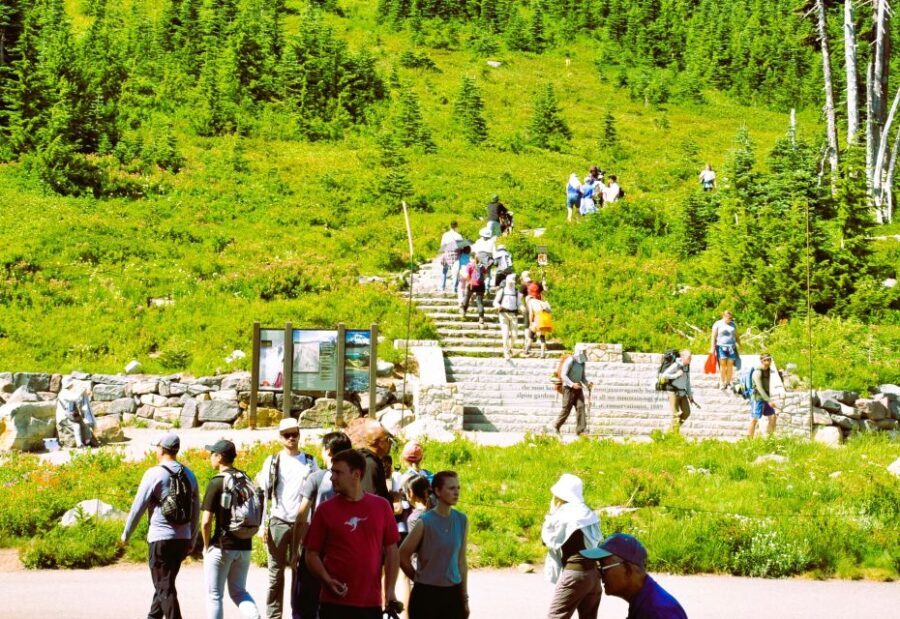 From Seattle: Customized Mount Rainier Tour - The Guides: Knowledgeable, Friendly, and Supportive