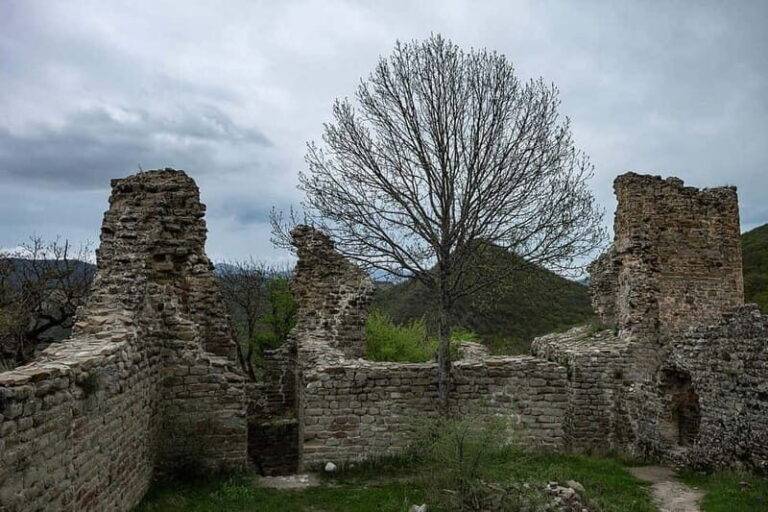 From Tbilisi: Bodbe, Sighnaghi and Telavi Day Trip - Who Will Love This Tour?