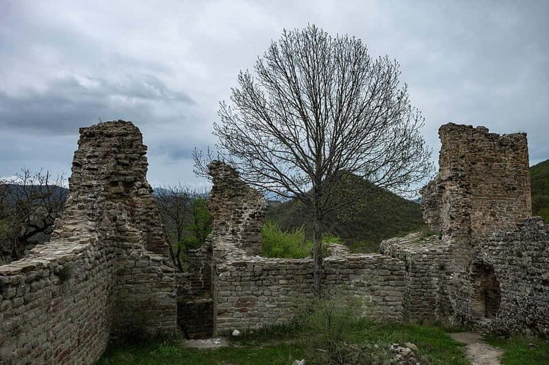 From Tbilisi: Bodbe, Sighnaghi and Telavi Day Trip - Who Will Love This Tour?