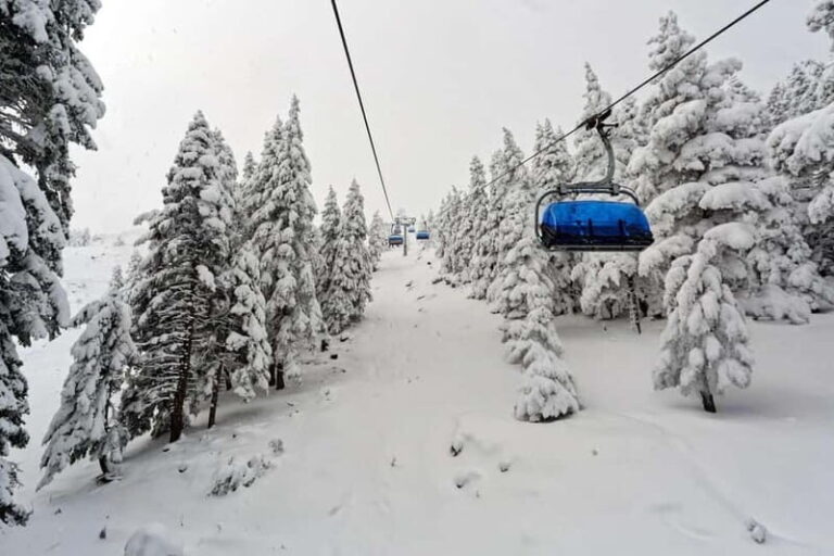 From Tbilisi: Borjomi and Bakuriani Ski Resort Private Tour - What Makes This Tour Stand Out?