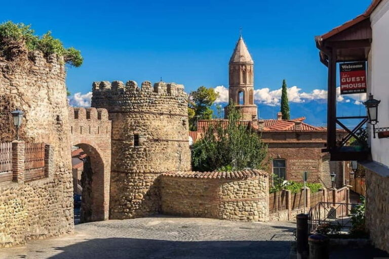 From Tbilisi: Kakheti Day Trip with Wine Tasting & Lunch - Practical Aspects of the Tour