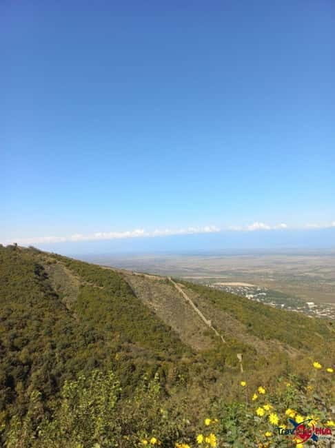 From Tbilisi: Kakheti Day Trip with Wine Tasting - The Pickup and Early Start