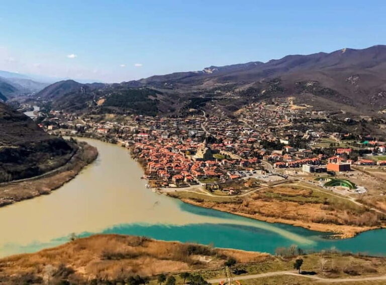 From Tbilisi: Sabaduri, Bears, Jvari & Chronicle of Georgia - Exploring the Itinerary in Detail