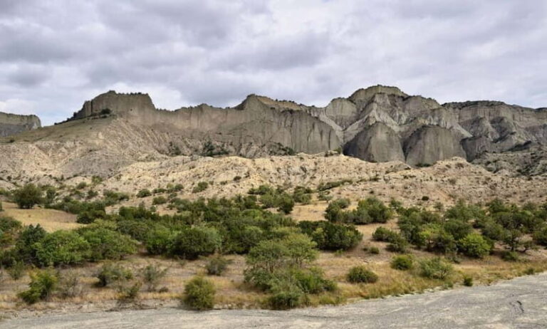 From Tbilisi: Vashlovani National Park Day Trip - Introduction: What’s It All About?
