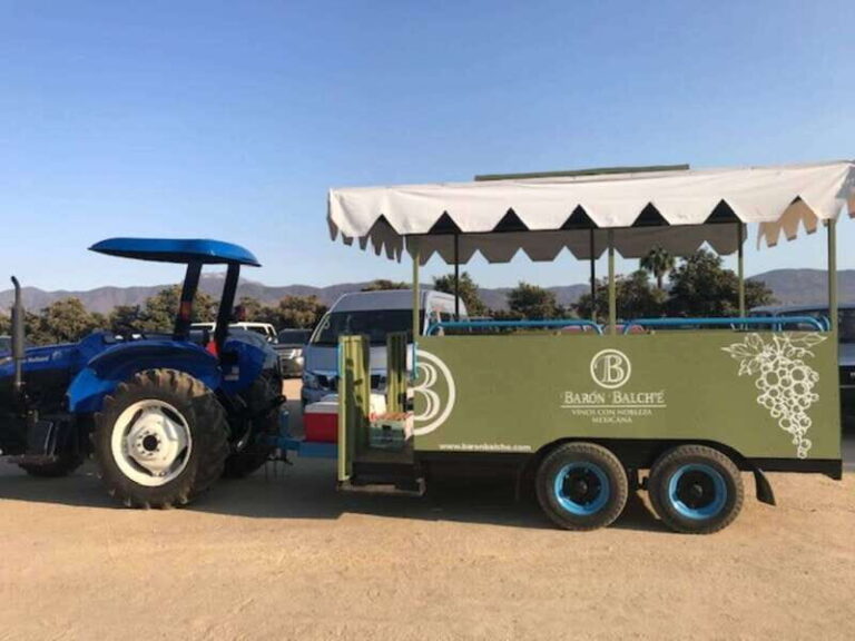 From Tijuana: Valle de Guadalupe Private Winery Tour - An In-Depth Look at the Valle de Guadalupe Private Winery Tour