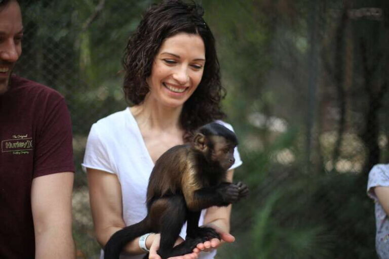 From Tulum: ATV Ride with Monkey Sanctuary and Cenote Trip - An In-Depth Look at the Tour Itinerary