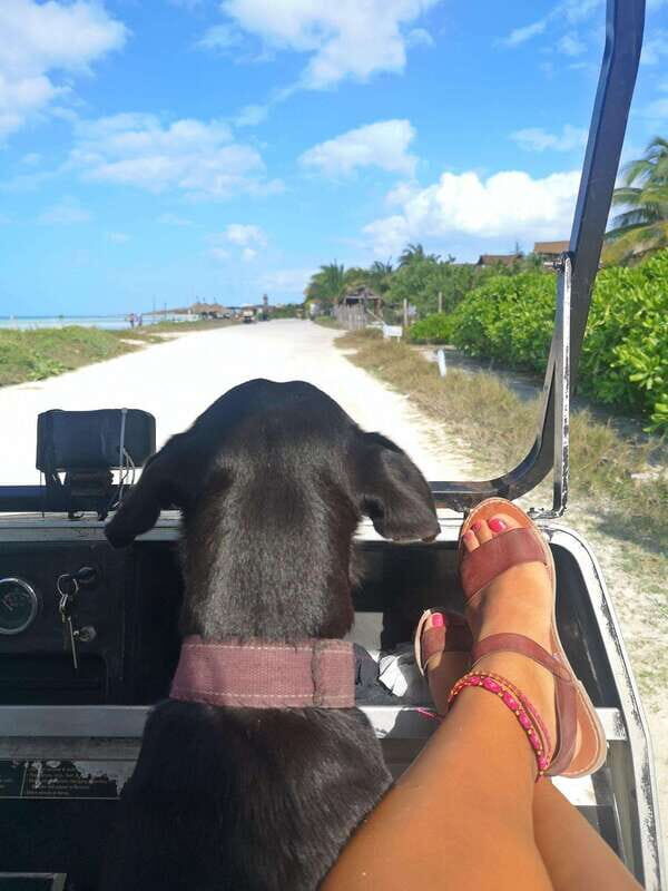 From Tulum: Holbox & Isla Pasion Tour with Cenote - Starting Point & Transportation Logistics