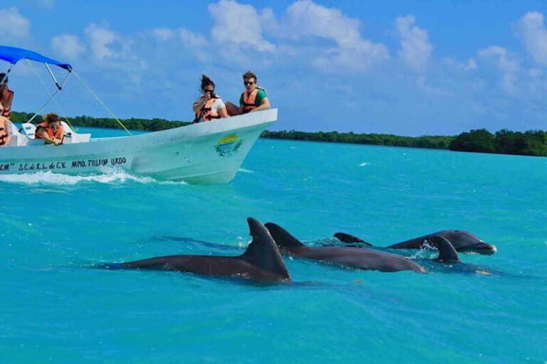 From Tulum: Sian Kaan Day Tour - The Journey Begins: What to Expect from the Sian Kaan Tour