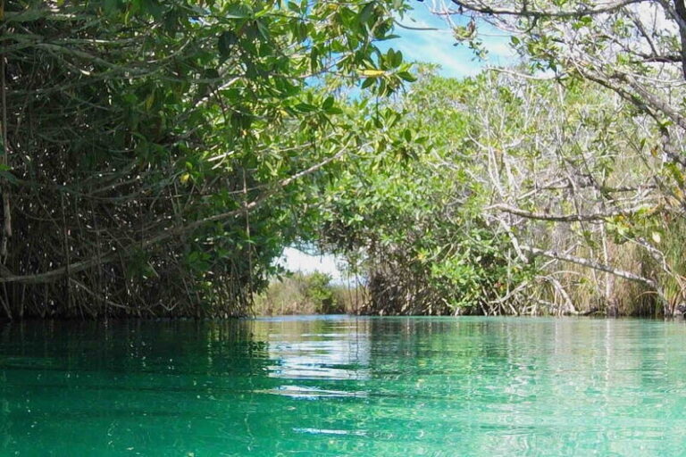 From Tulum: Sian KaAn Muyil Lagoon Tour - Savoring Mexican Flavors