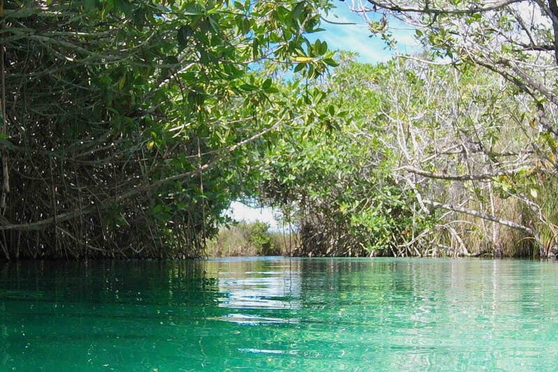 From Tulum: Sian KaAn Muyil Lagoon Tour - Savoring Mexican Flavors