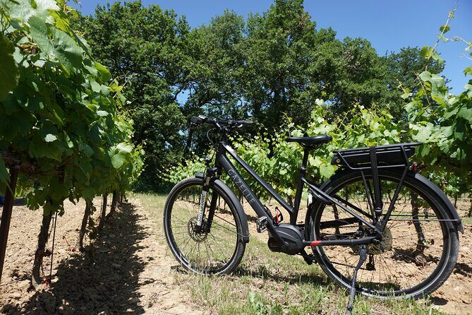 Full day E-Bike rental in the Luberon - Discovering the Luberon on Electric Bikes