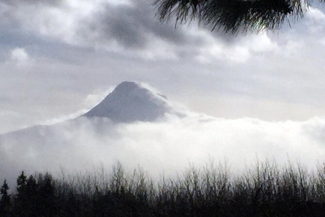 Full-Day Mt Hood Waterfall Tour with Lunch and Wine Included - Transportation, Group Size, and Overall Value