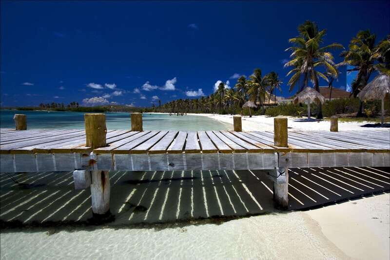 Full Day Nature Expedition to Contoy Island and Isla Mujeres - In-Depth Look at the Itinerary