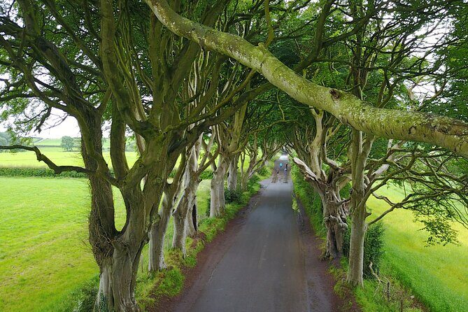 Full-Day Private Giant's Causeway Experience - What We’re Really Paying For