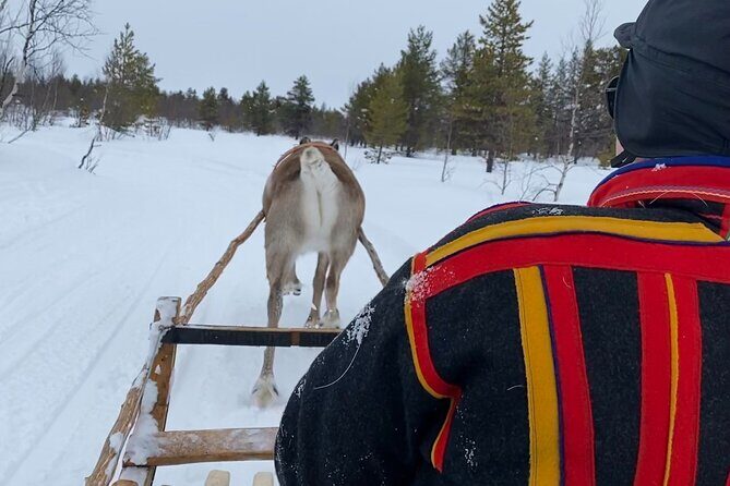 Full-Day Reindeer Tour with Pickup in Kiruna - What Sets This Tour Apart