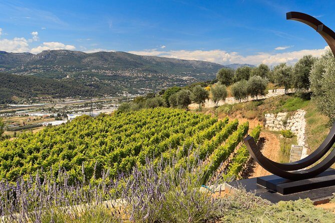 Full-day Wine Tour in Bellet & Saint-Paul de Vence from Nice - The Value and Practicalities