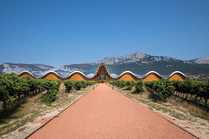 Full Rioja Wine Tour with Lunch from Bilbao Private Tour - Authentic Experiences Reported by Reviewers