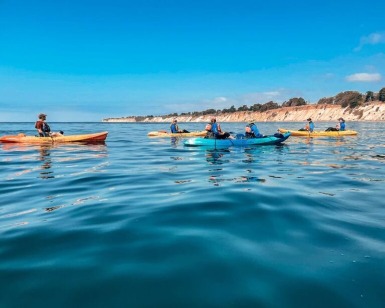 Gaviota Coast Near Santa Barbara: Kayak Tour (3.5 Hours) - Pricing and Value