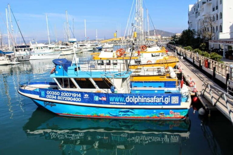 Gibraltar: Dolphin Watching Boat Tour V.I.P - What to Expect on the Dolphin Watching Tour