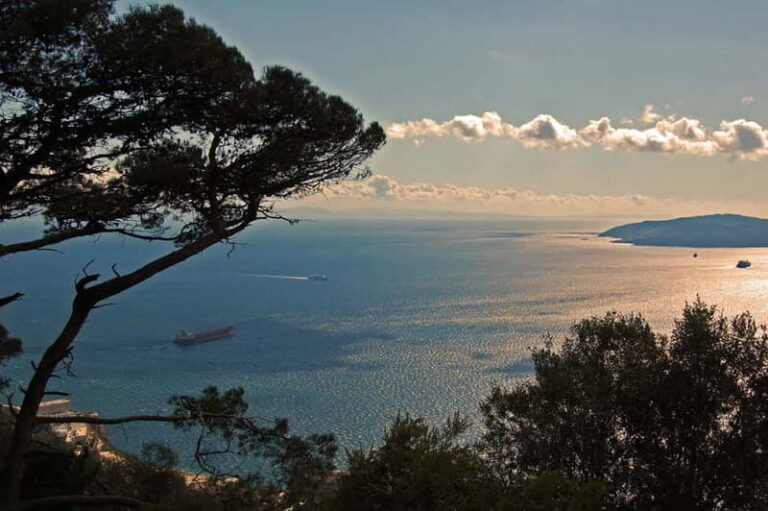 Gibraltar: Guided Tour by Bus Including Tickets - Practical Aspects and Considerations
