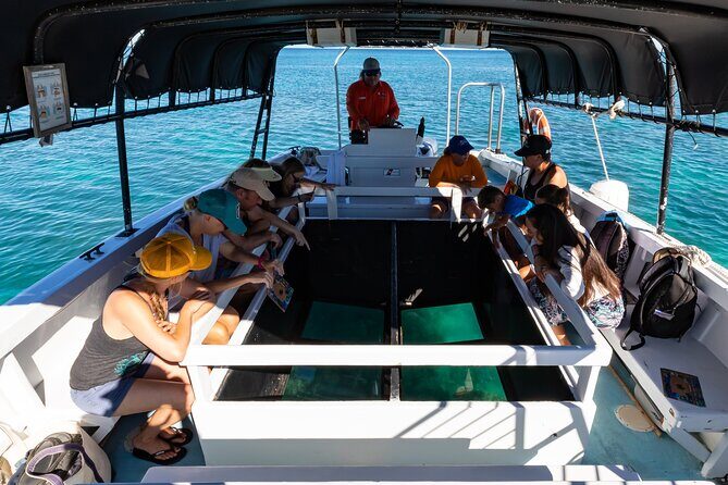 Glass-Bottom Boat Cruise from Waikoloa - What the Reviews Say