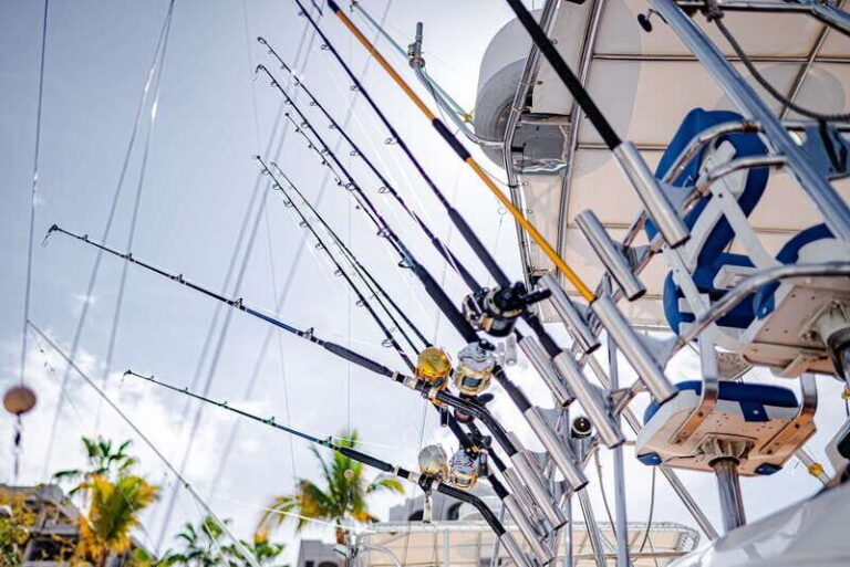 Go deeper Too Fishing tour - The Experience: What It Feels Like to Fish in Baja