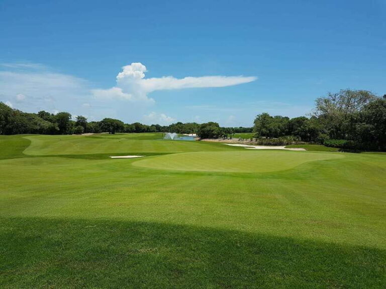 Gran Coyote Golf Course - Authentic Insights from Reviews