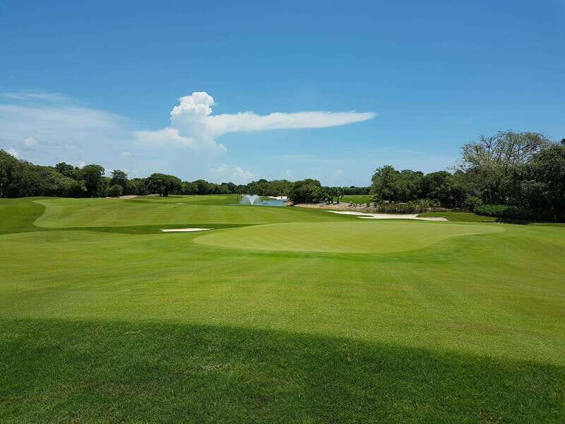 Gran Coyote Golf Course - Authentic Insights from Reviews