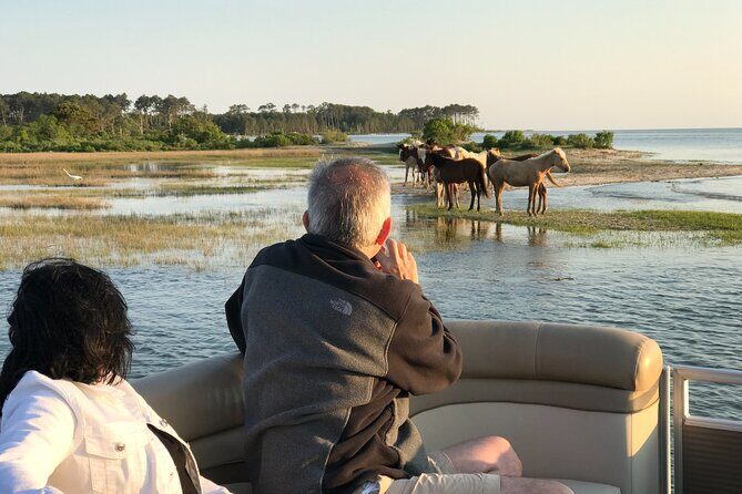Grand Boat Tour around Chincoteague and Assateague Islands - Authentic Experiences & Unforgettable Moments