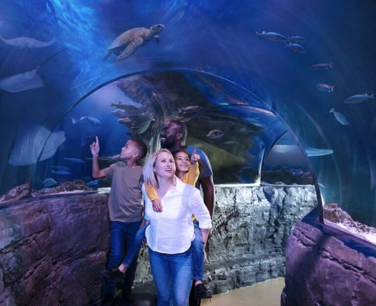 Grapevine: SEA LIFE Grapevine Aquarium General Admission - What to Expect at SEA LIFE Grapevine Aquarium