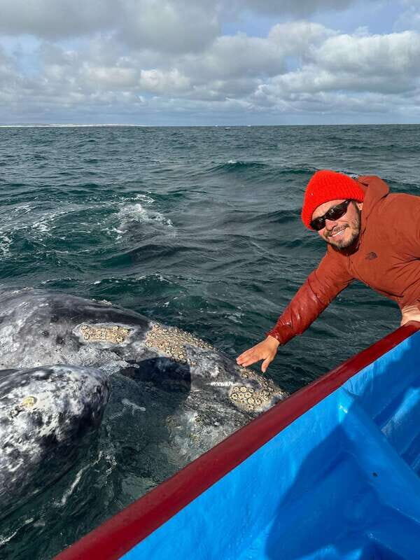 Grey Whale Watching at Mag Bay From Loreto - What Makes This Tour Stand Out?